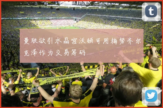 曼联欲引水晶宫沃顿可用梅努齐尔克泽作为交易筹码