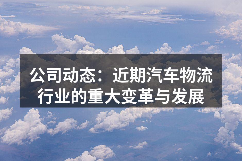 汽车物流公司现场运输情况