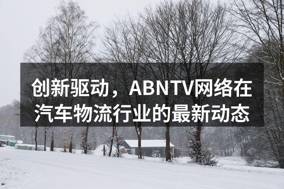 ABNTV网络智能物流管理系统界面
