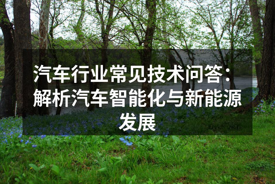 智能驾驶系统的展示